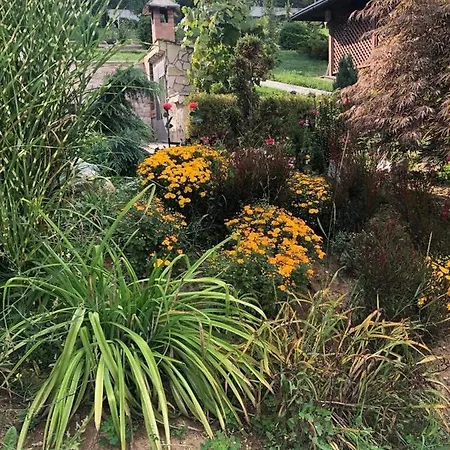 Elma Villa *